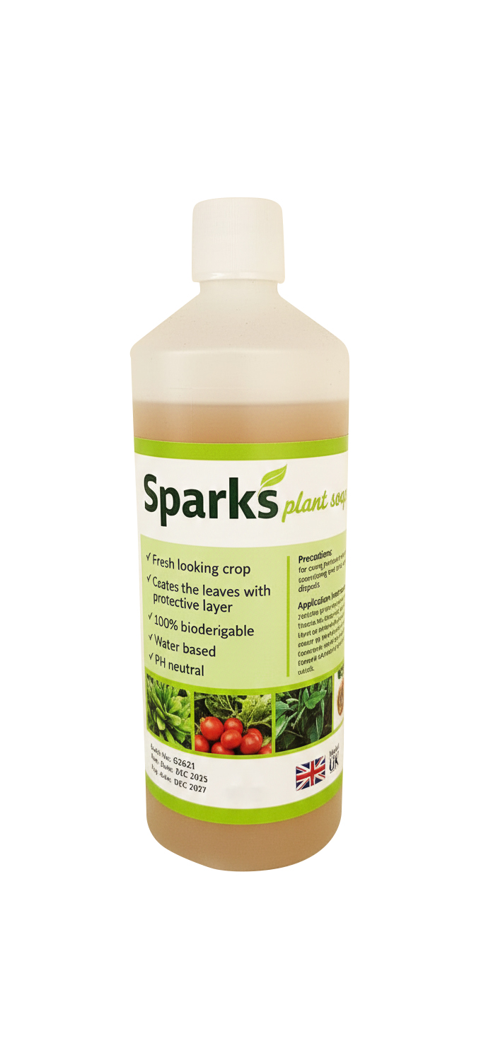 Sparks (100 ml Pack)